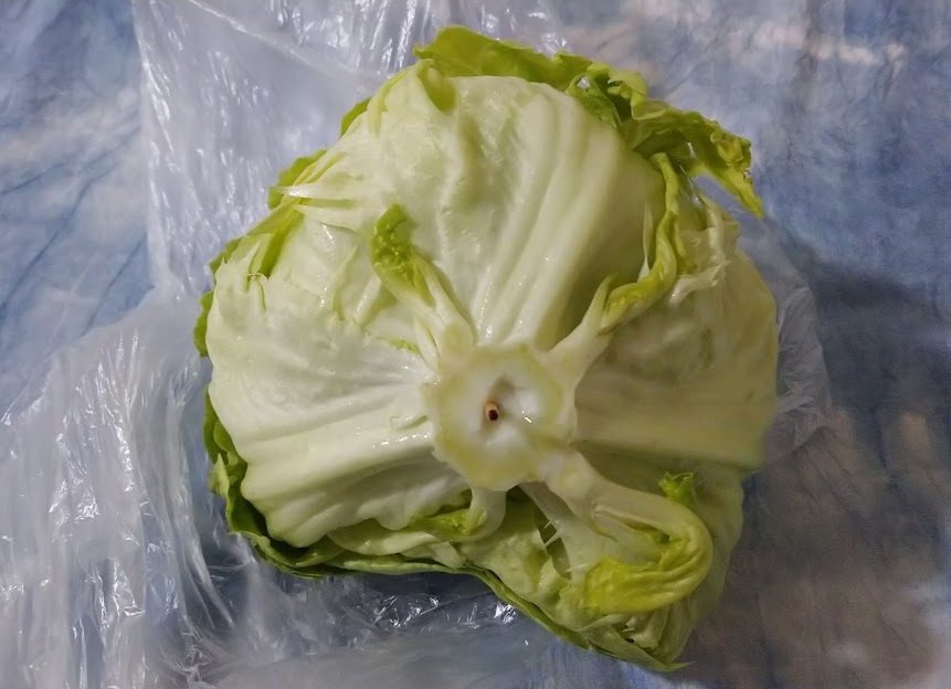 爪楊枝で芯をブスリとさす