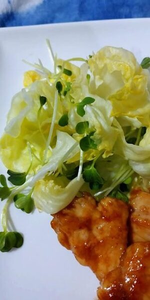 【野菜保存法】レタスを1か月間、最後までパリッとさせる！　自宅にあるもので簡単2ステップ　