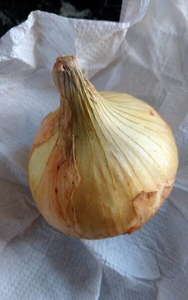 【野菜保存法】レタスを1か月間、最後までパリッとさせる！　自宅にあるもので簡単2ステップ　