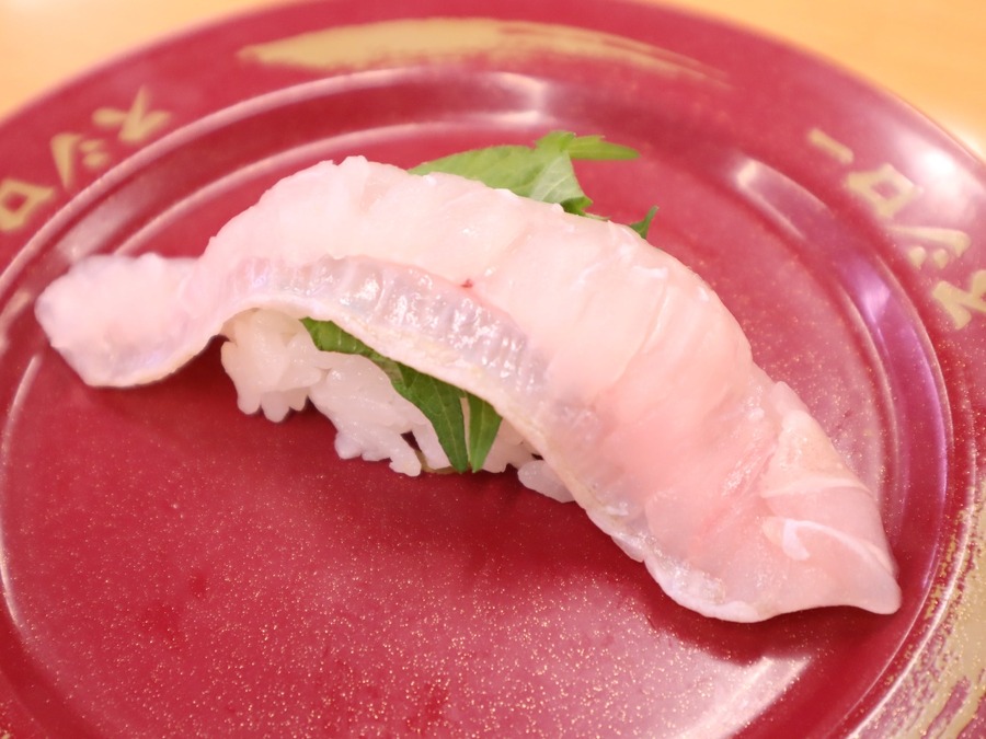 天然ひらめ