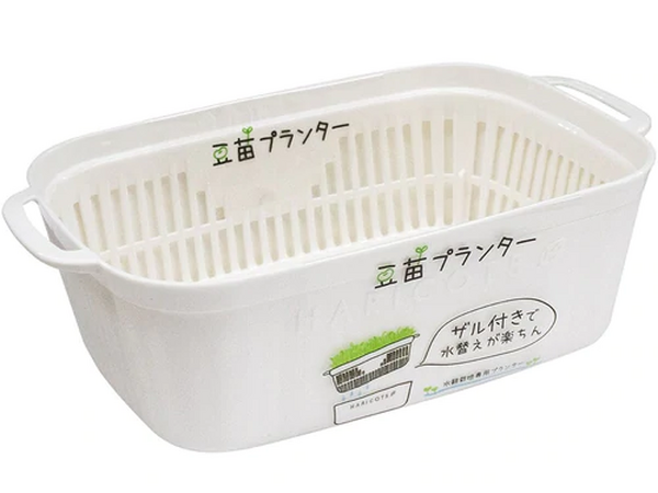 豆苗プランター