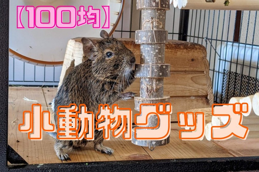 小動物グッズ