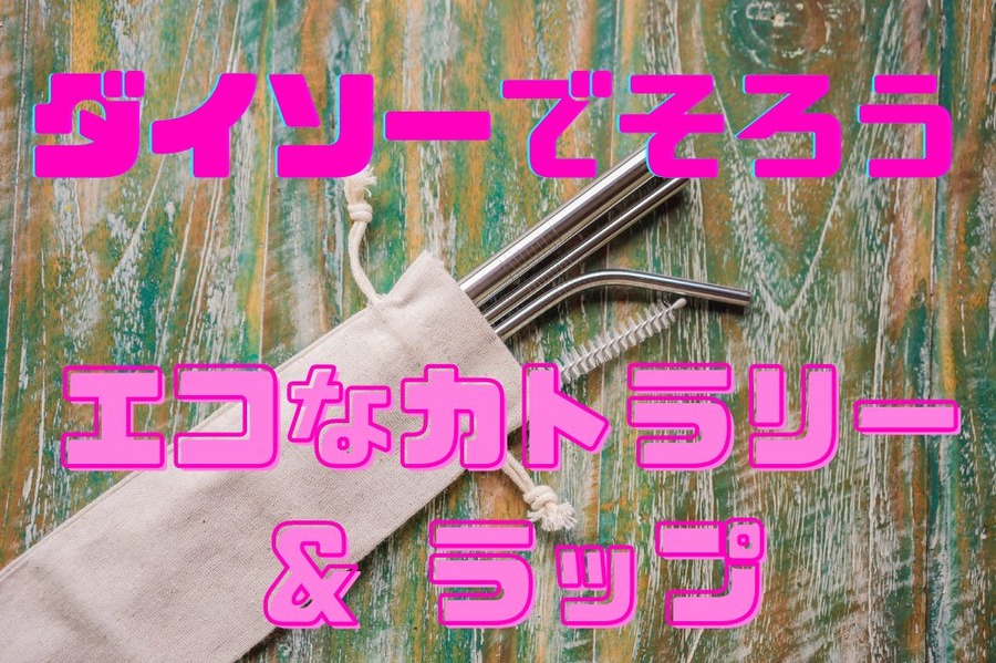 エコなカトラリー ＆ ラップ
