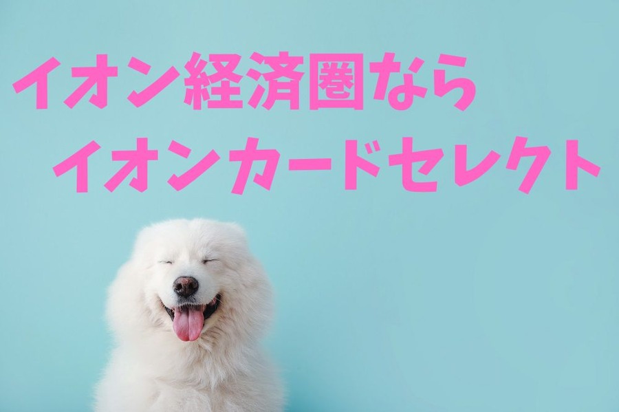 イオン経済圏なら「イオンカードセレクト」