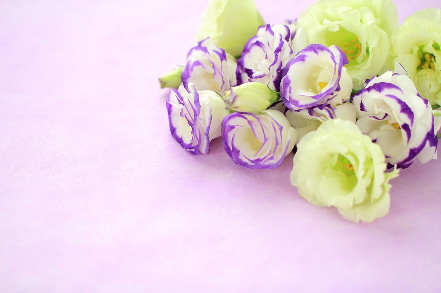 国民年金を掛けていた方が亡くなった場合に支給される「一時金」があります