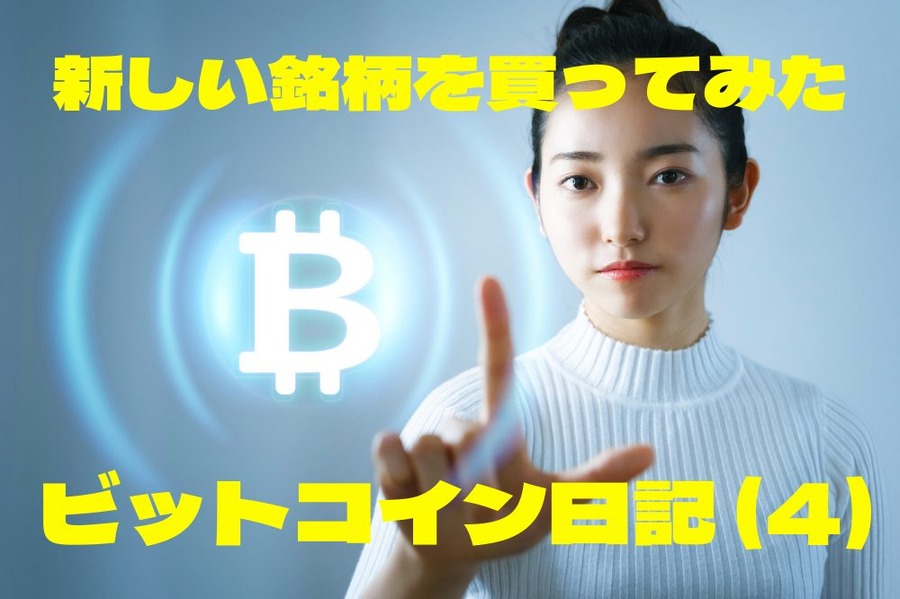 はじめての ビットコイン日記 (4)