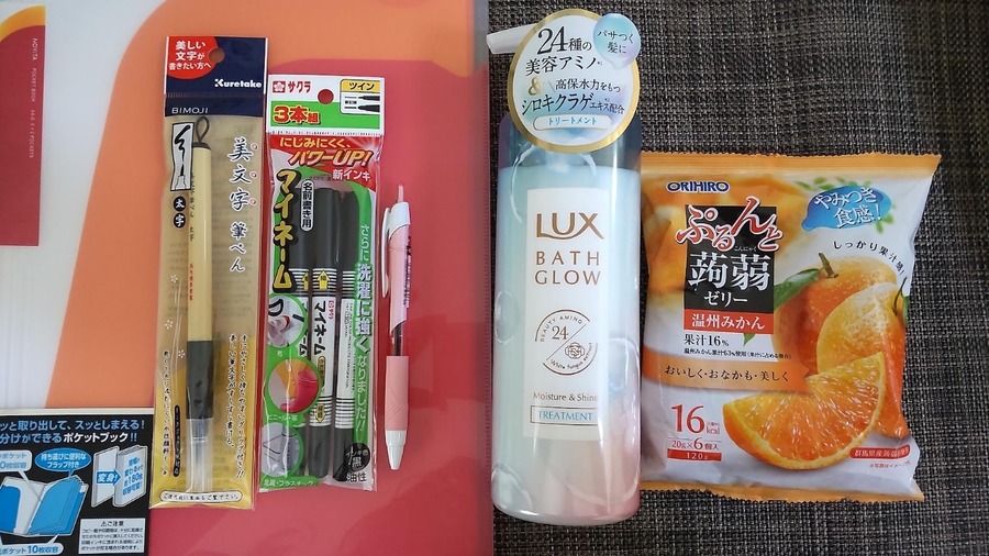 ビックカメラ大型店