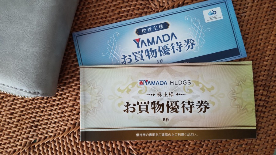 ヤマダホールディングス