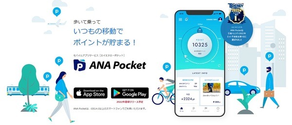 ANA Pocket