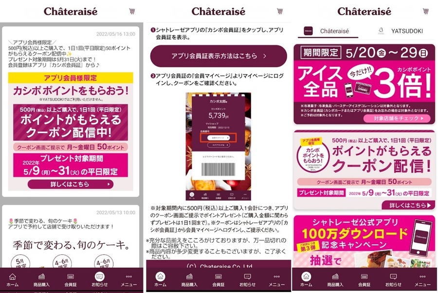 シャトレーゼの「隠れキャンペーン」2つ　スイーツ購入レシートでアイス・ポイント増量体験談