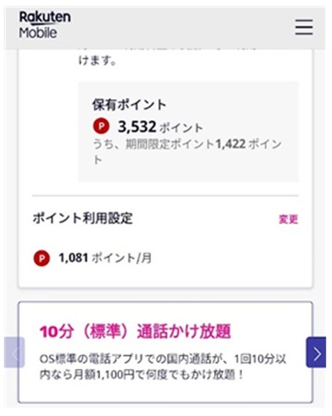 筆者のポイント利用設定画像