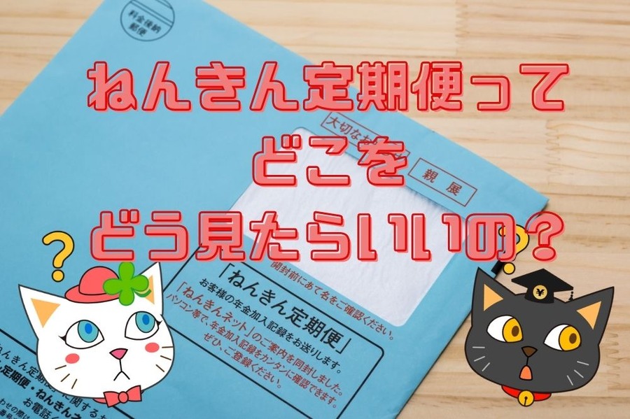 ねんきん定期便ってどこをどう見たらいいの？