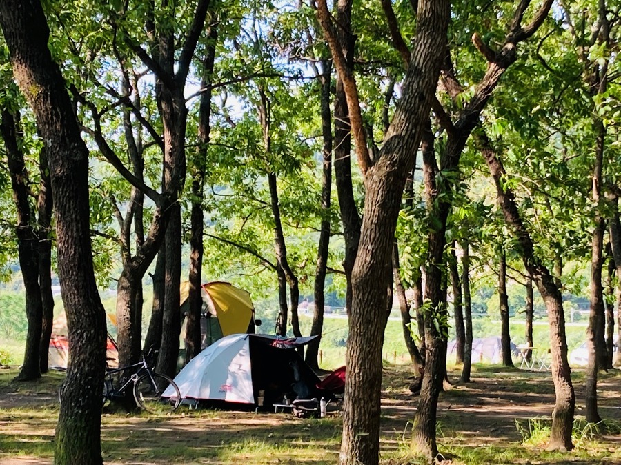 トイレも完備