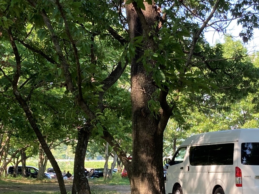 平日でもかなり賑わっていました