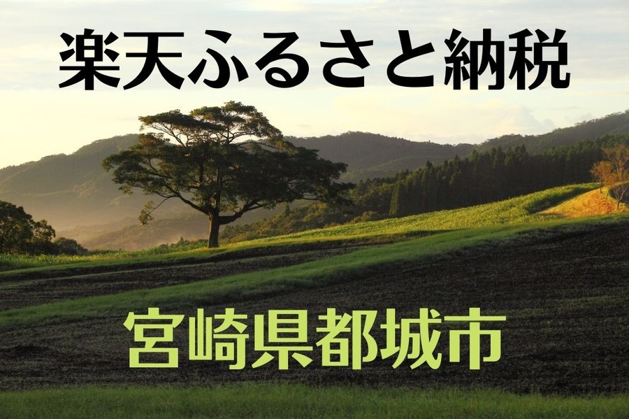 楽天ふるさと納税