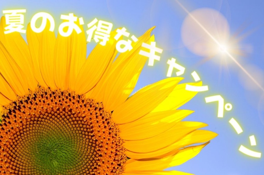 夏のお得なキャンペーン