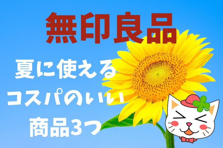 夏に使える コスパのいい 商品