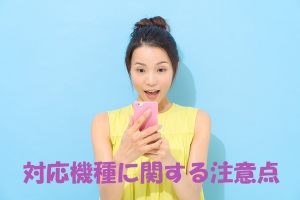 povo注意点