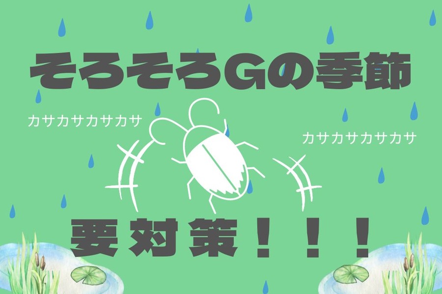 今こそG対策を