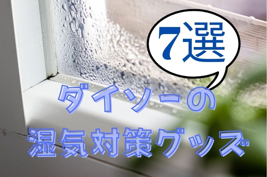 ダイソーの湿気対策グッズ
