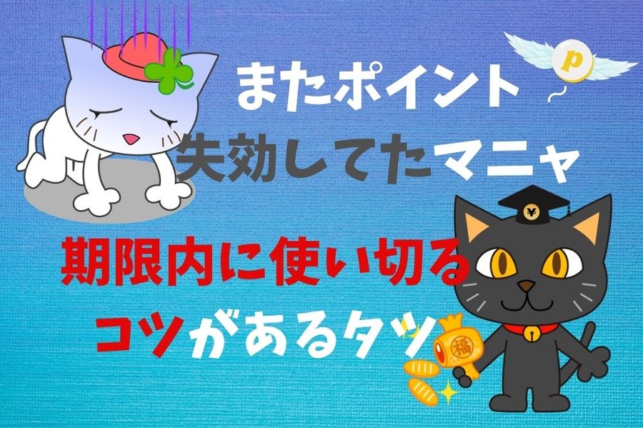 ポイント失効を防ごう
