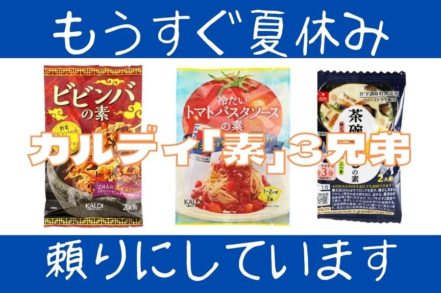 カルディ「素」3兄弟