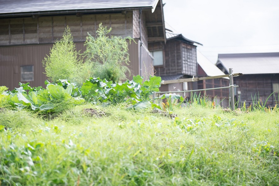空き家を放置すると、どのような事態がおきるのか？