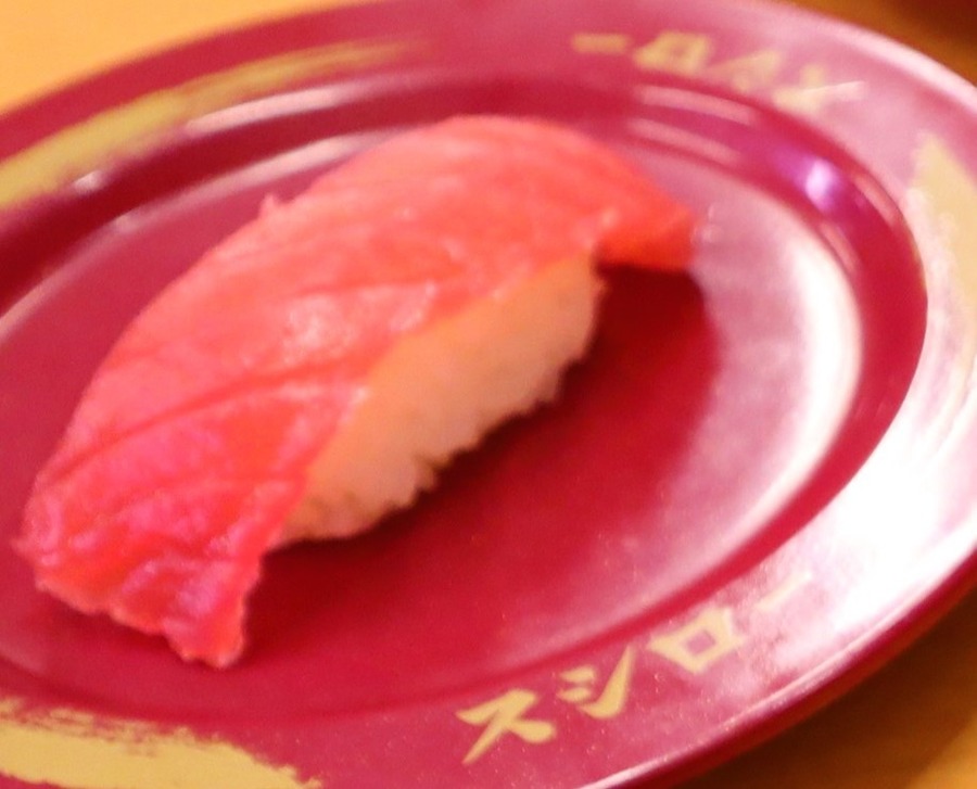 天然インド鮪中とろ