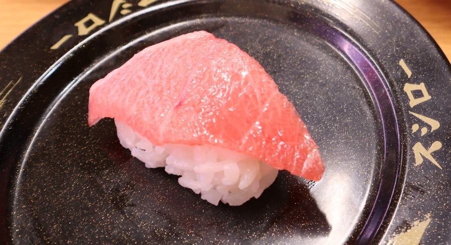 天然インド鮪大とろ