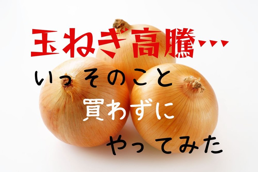 玉ねぎ高騰…
