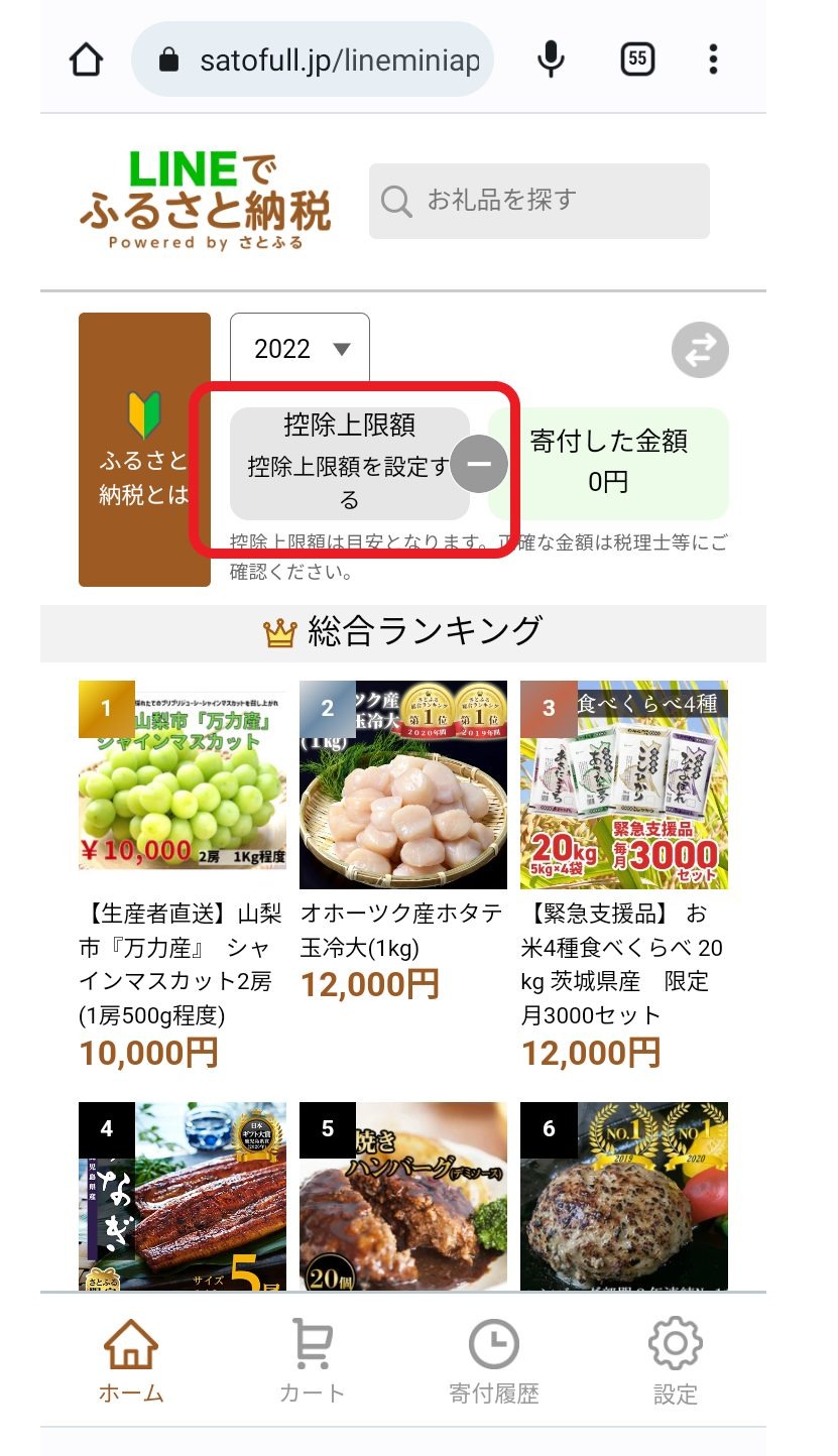 「LINEでふるさと納税」始まる　ビギナーにも使いやすい、お得な利用方法と注意点、夏を乗り切るおすすめ返礼品を合わせて紹介