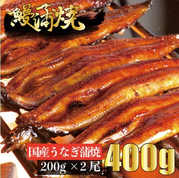 国産うなぎ