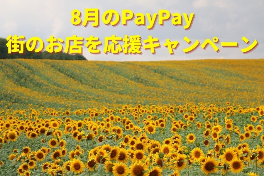 8月のPayPay 「街のお店を応援キャンペーン」