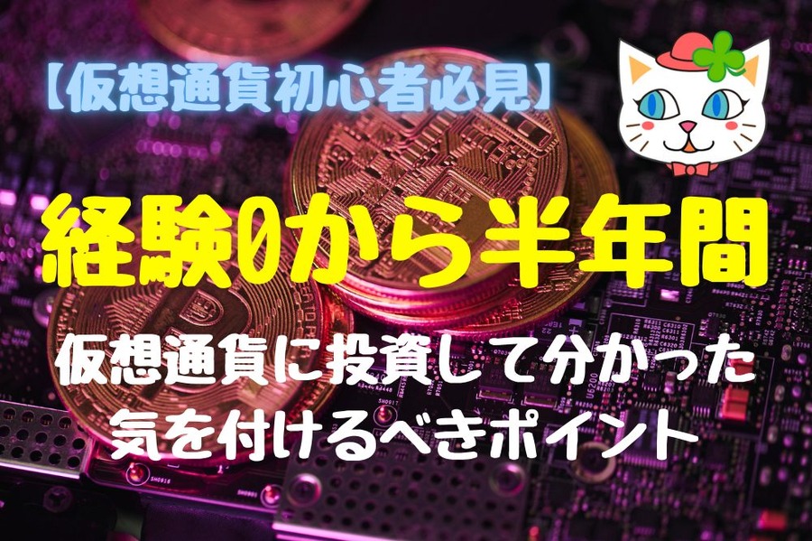 経験0から半年仮想通貨に投資して 分かった気を付けるべきポイント
