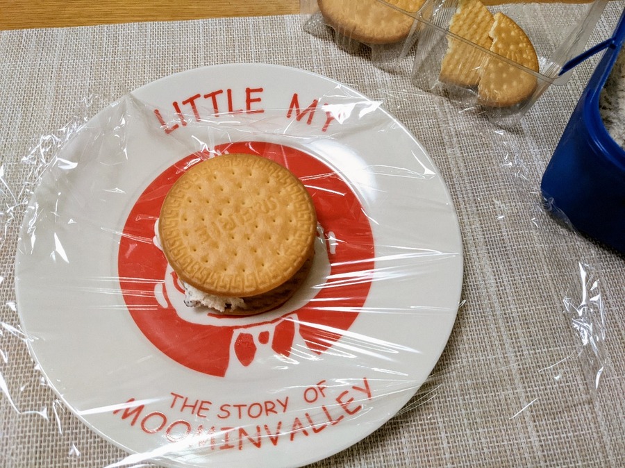 半日ほど置くとアイスとビスケットがなじみ、おいしく食べやすくなります