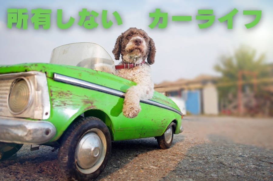 所有しないカーライフ