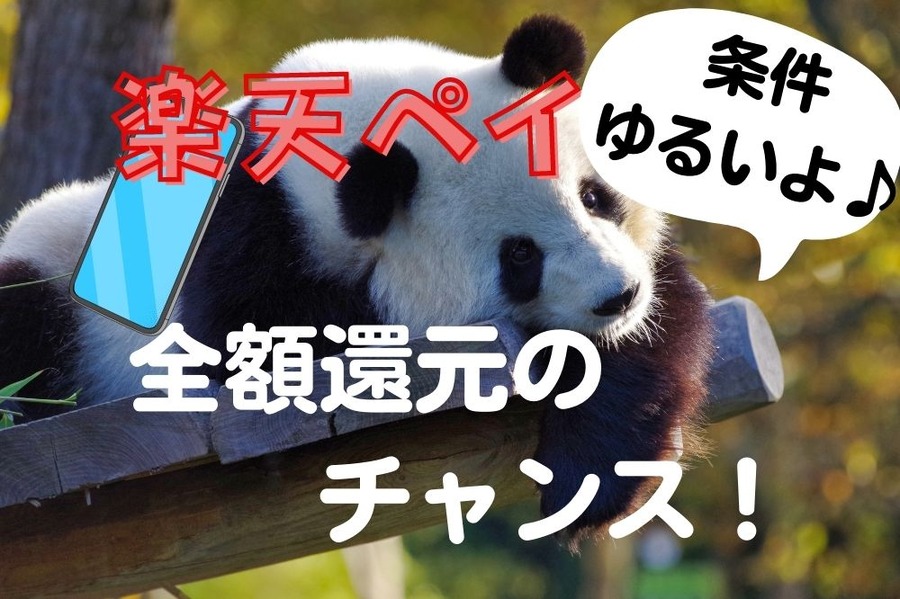 楽天ペイで全額還元のチャンス