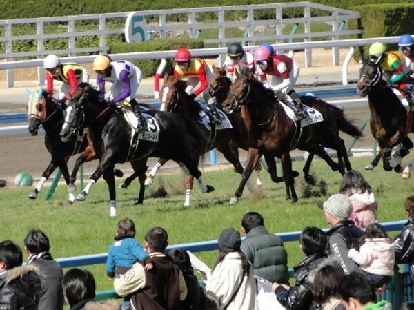 競馬