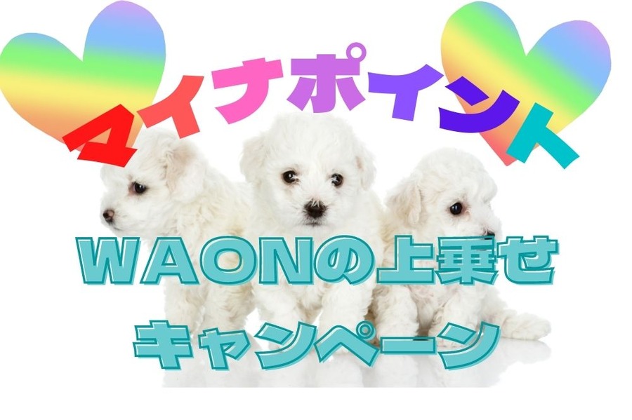 WAONでマイナポイント上乗せキャンペーン