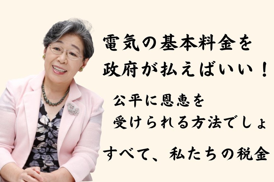 電気の基本料金を 政府が払えばいい！