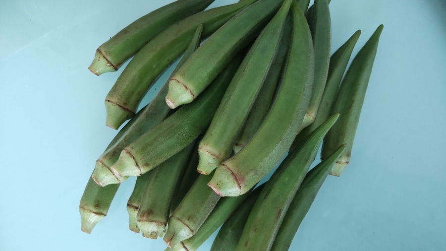 オクラ2袋分は19本これで100円とは