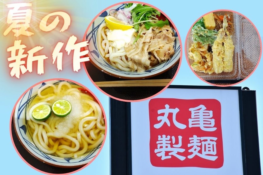 夏の 新作