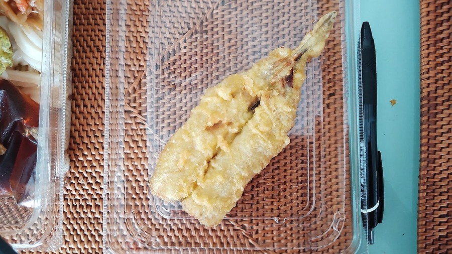 サイズ感