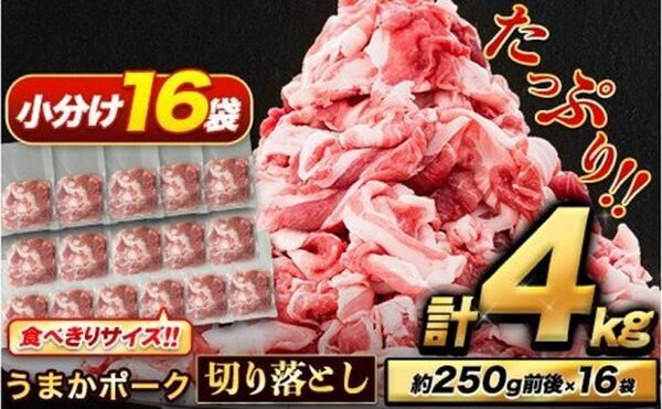 熊本うまかポーク冷凍不揃い