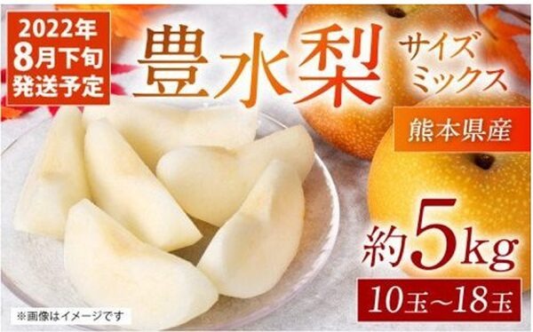 豊水梨熊本産