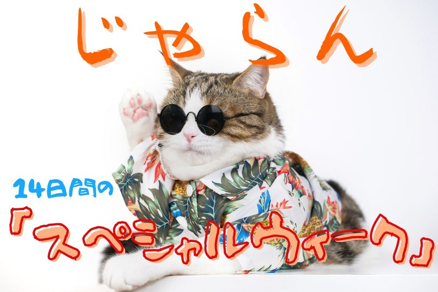 【じゃらん】14日間のスペシャルウィーク