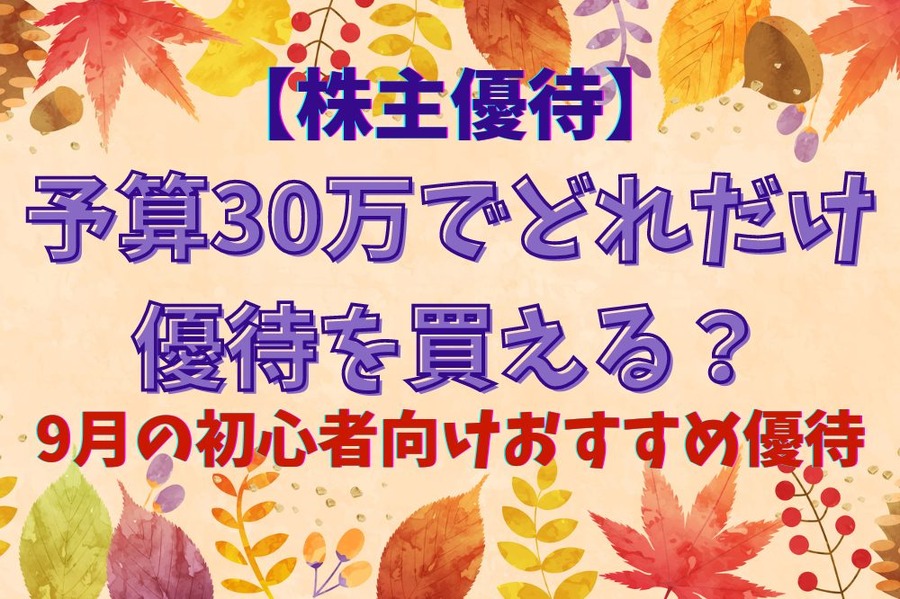 予算30万でどれだけ 優待を買えるか