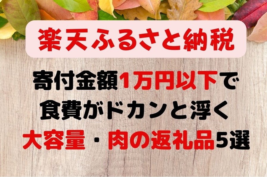 寄付金額1万円以下で食費がドカンと浮く 大容量・肉の返礼品5選