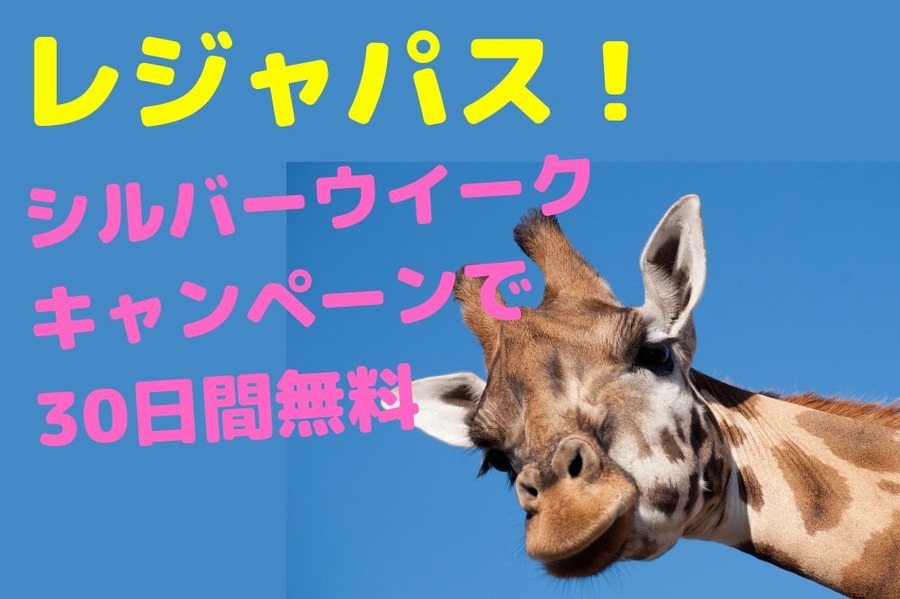 レジャパス！無料キャンペーン中