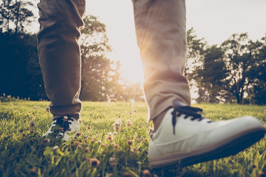 退職後の傷病手当金と失業保険の受給について